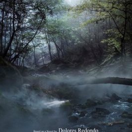 The Invisible Guardian (2017)